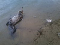 Jeszcze trwa jesien 2011