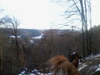 Sokole z drogi  Sokole z drogi