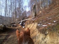 Tedy nie przejdziemy  Tedy nie przejdziemy