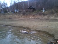 ale nie pozyskana  ale nie pozyskana