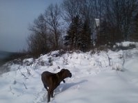 Kama zawraca do domu  Kama zawraca do domu