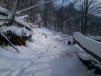 Na rakietach snieznych  Na rakietach snieznych