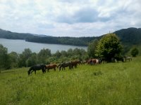 Na Poziomkowej Lace  Na Poziomkowej Lace