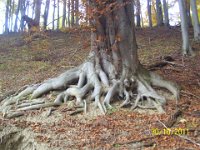 100 3469  Trzymam się mocno!