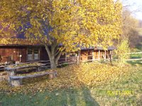 100 3481  Ach, ta magnolia... ciągle zmienna.