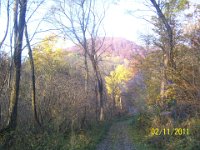 100 3484  Jesienna droga barw.