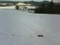 Szed blisko naszego domu  Szedł blisko naszego domu