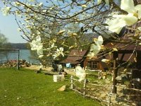 Zakwitla wiosna  Zakwitła wiosna