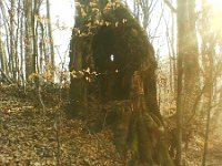 dziupla z okienkiem  dziupla z okienkiem