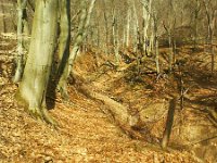 jak tu pieknie  jak tu pięknie