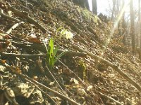 kwiatki we dwoje  kwiatki we dwoje