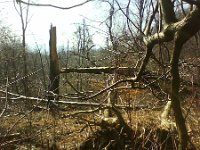 nie mialo podporki  nie miało podpórki