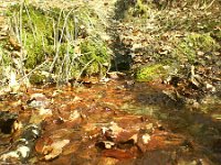 stad wyplywa czysta woda  stąd wypływa czysta woda