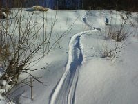 tak zjezdza wydra  tak zjeżdża wydra