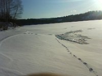 wydry tam i spowrotem  wydry tam i spowrotem